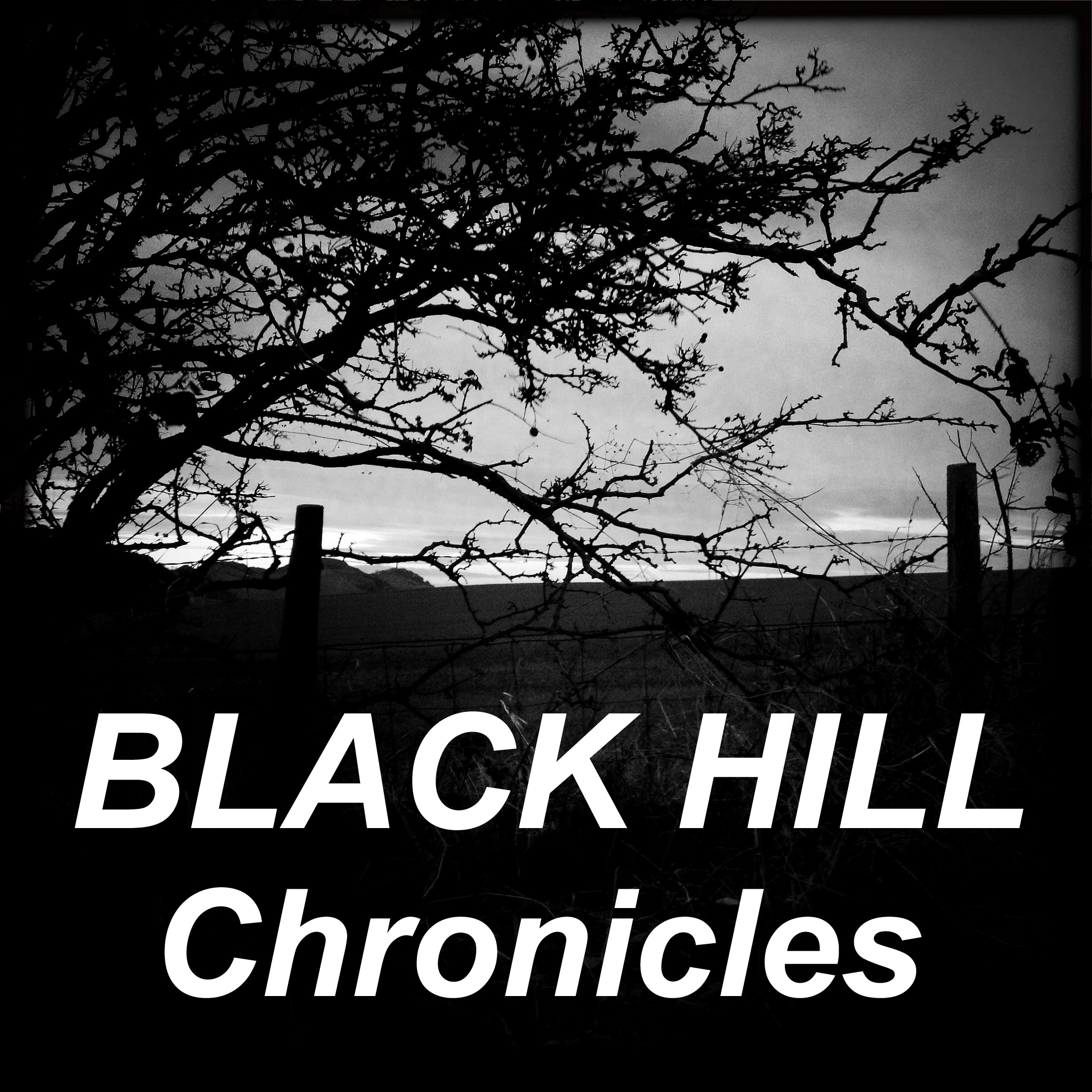 black hill chronicles id image